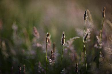 横板手游《洛克人X Dive》将于9月27日结束服务